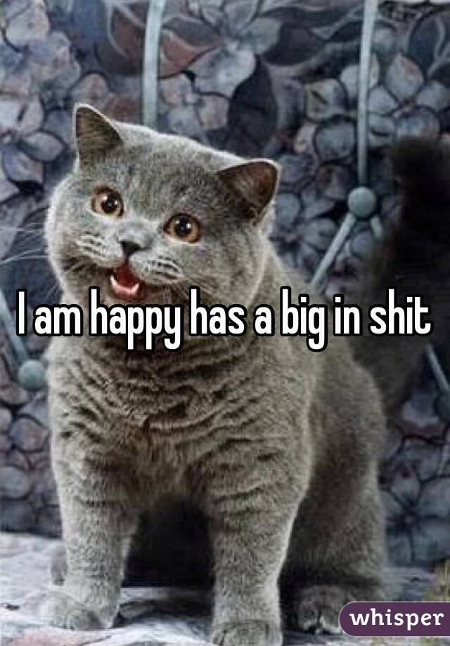 I am happy has a big in shit 