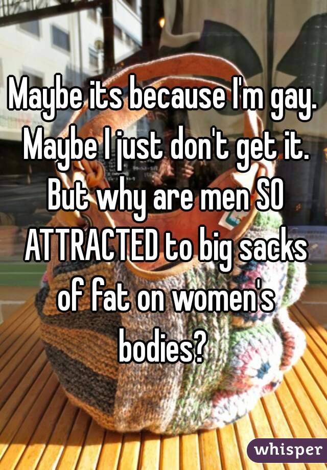 Maybe its because I'm gay. Maybe I just don't get it. But why are men SO ATTRACTED to big sacks of fat on women's bodies? 