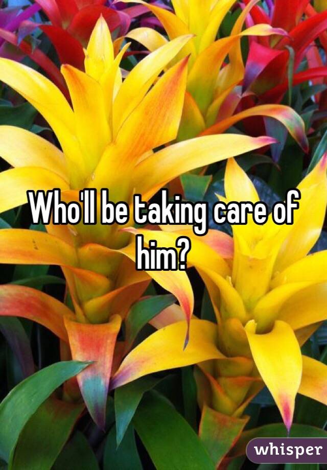 Who'll be taking care of him?