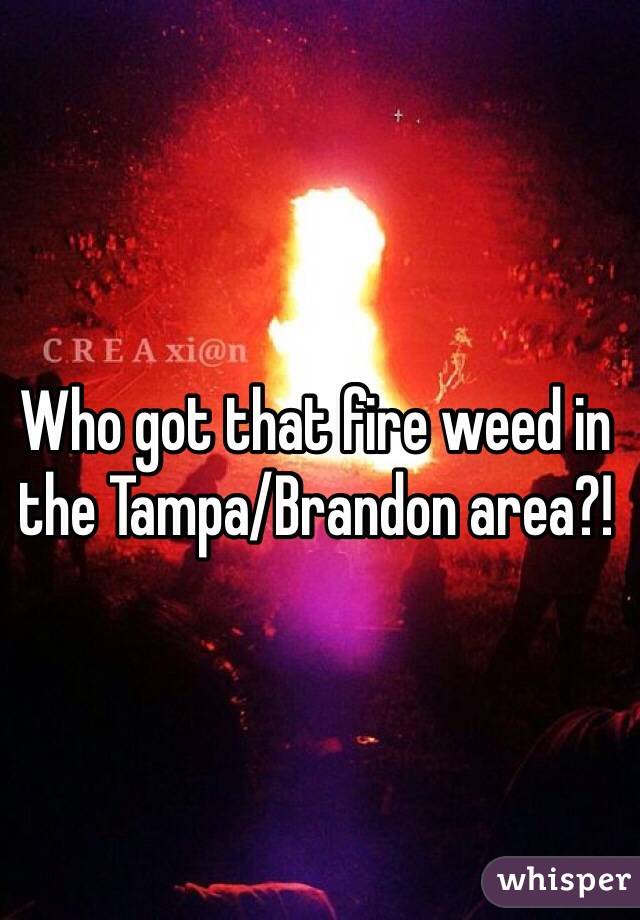 Who got that fire weed in the Tampa/Brandon area?! 