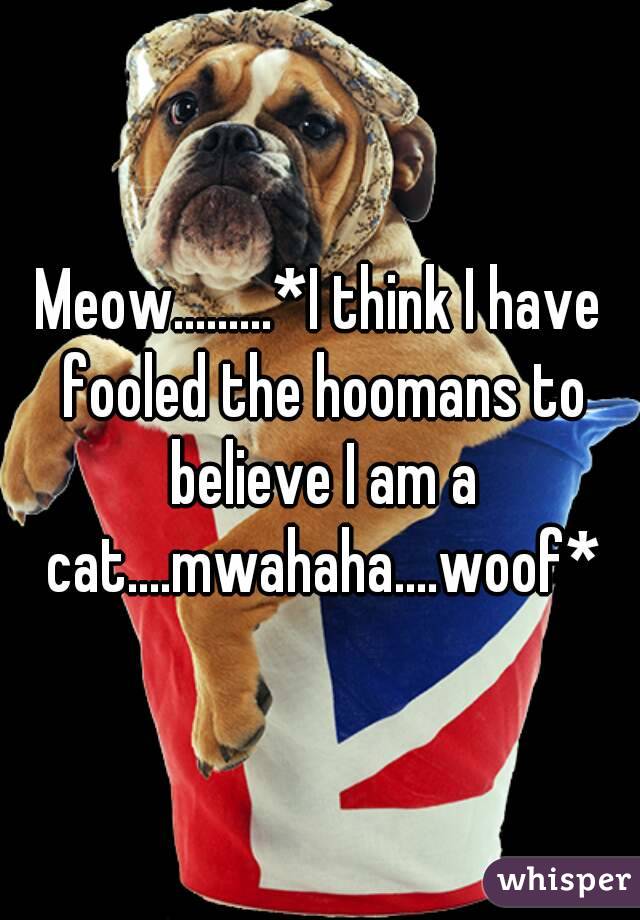 Meow.........*I think I have fooled the hoomans to believe I am a cat....mwahaha....woof*