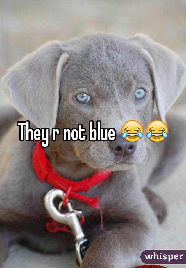 They r not blue 😂😂