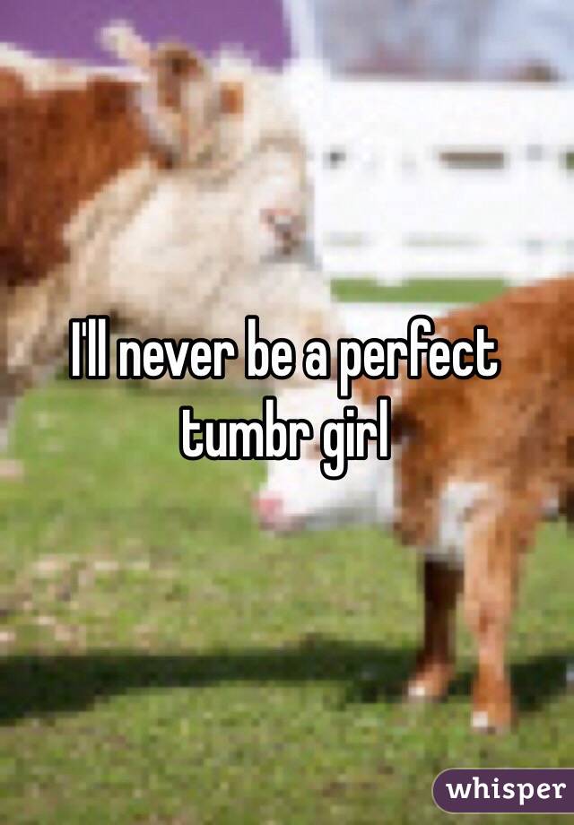 I'll never be a perfect tumbr girl 