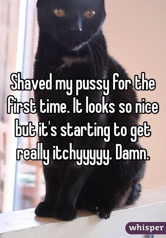 Shaved my pussy for the first time. It looks so nice but it's starting to get really itchyyyyy. Damn.