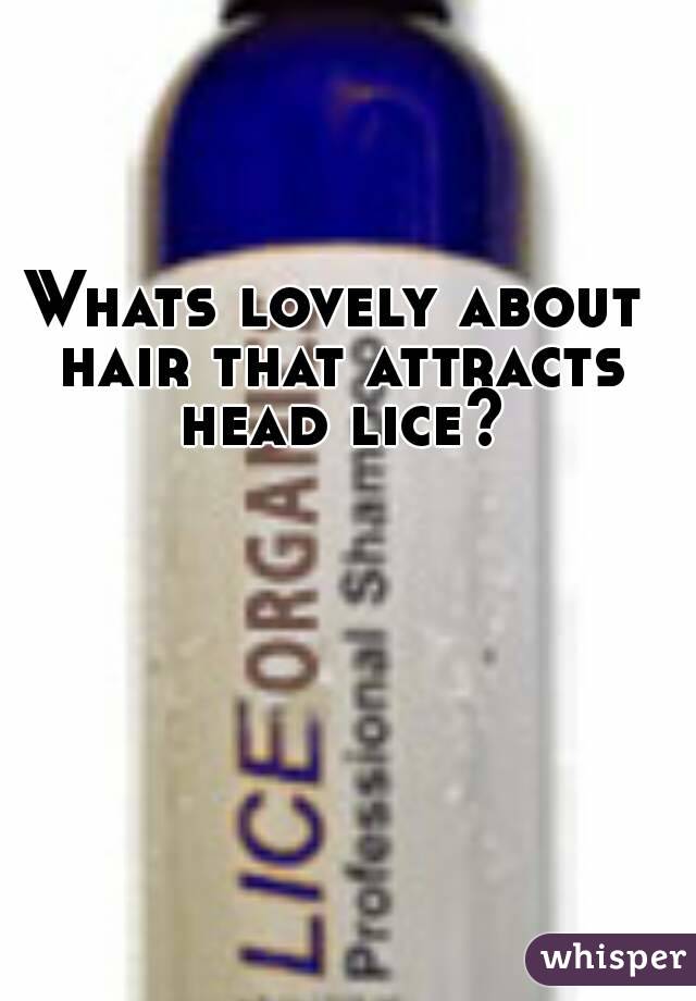 Whats lovely about hair that attracts head lice?