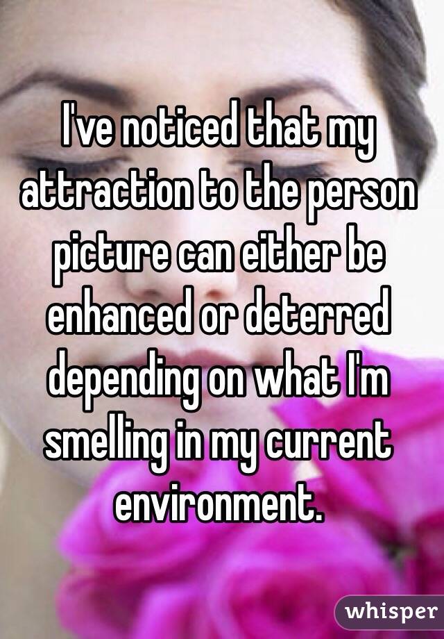 I've noticed that my attraction to the person picture can either be enhanced or deterred depending on what I'm smelling in my current environment.