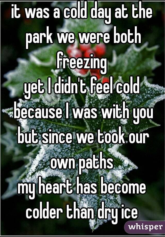 it was a cold day at the park we were both freezing 
yet I didn't feel cold because I was with you but since we took our own paths 
my heart has become colder than dry ice 