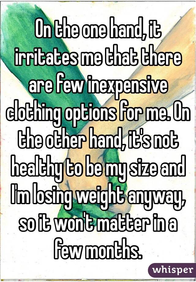 On the one hand, it irritates me that there are few inexpensive clothing options for me. On the other hand, it's not healthy to be my size and I'm losing weight anyway, so it won't matter in a few months. 