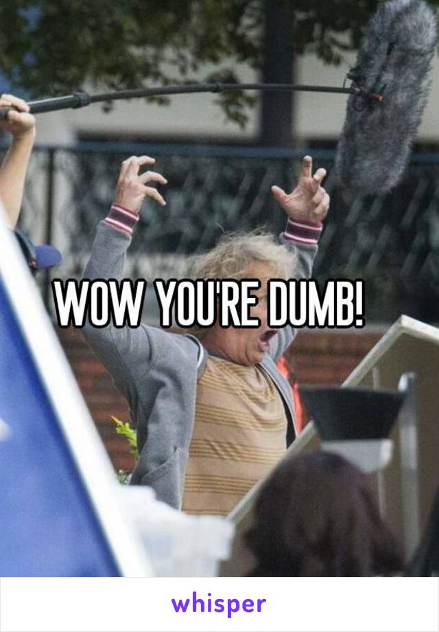 WOW YOU'RE DUMB!  