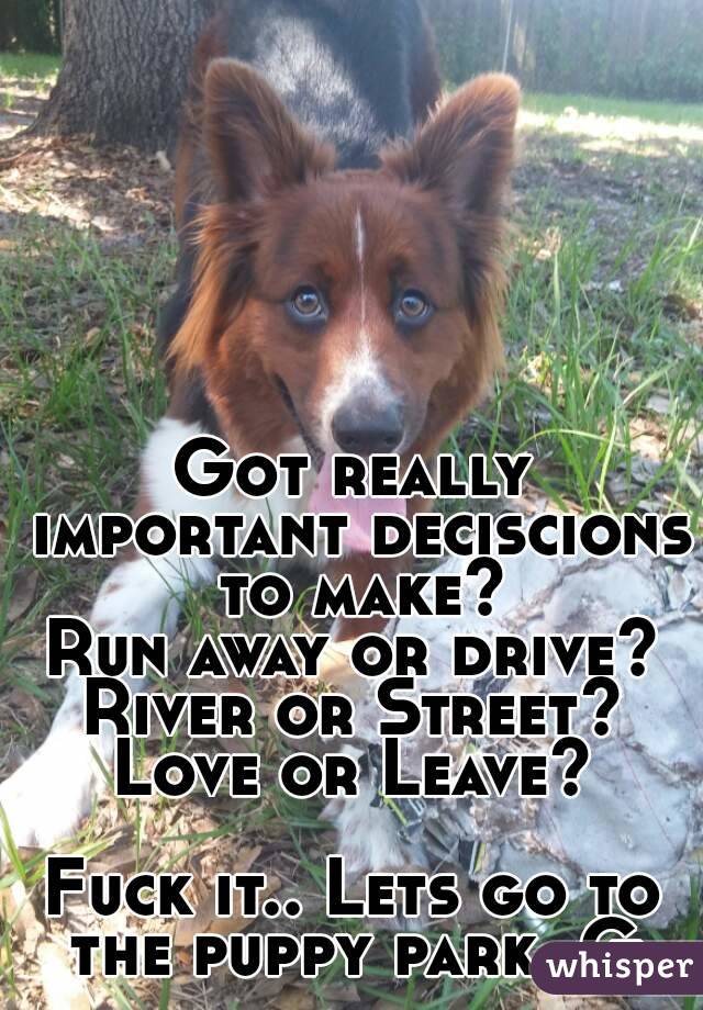 Got really important deciscions to make?
Run away or drive?
River or Street?
Love or Leave?

Fuck it.. Lets go to the puppy park, G.