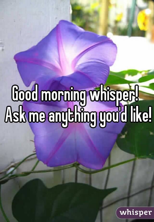 Good morning whisper!  Ask me anything you'd like!