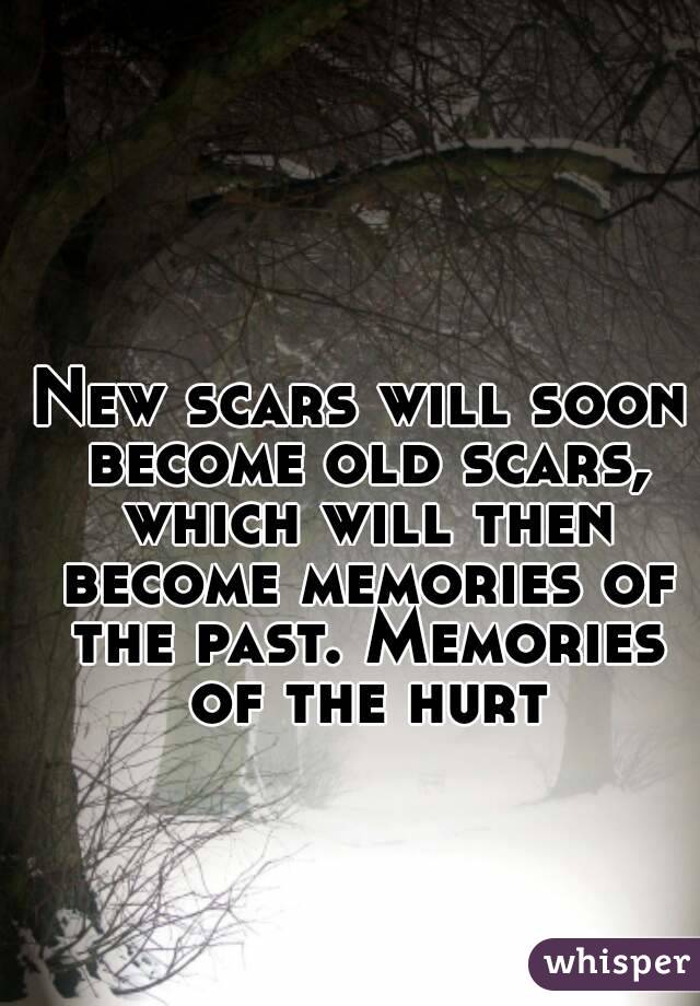 New scars will soon become old scars, which will then become memories of the past. Memories of the hurt