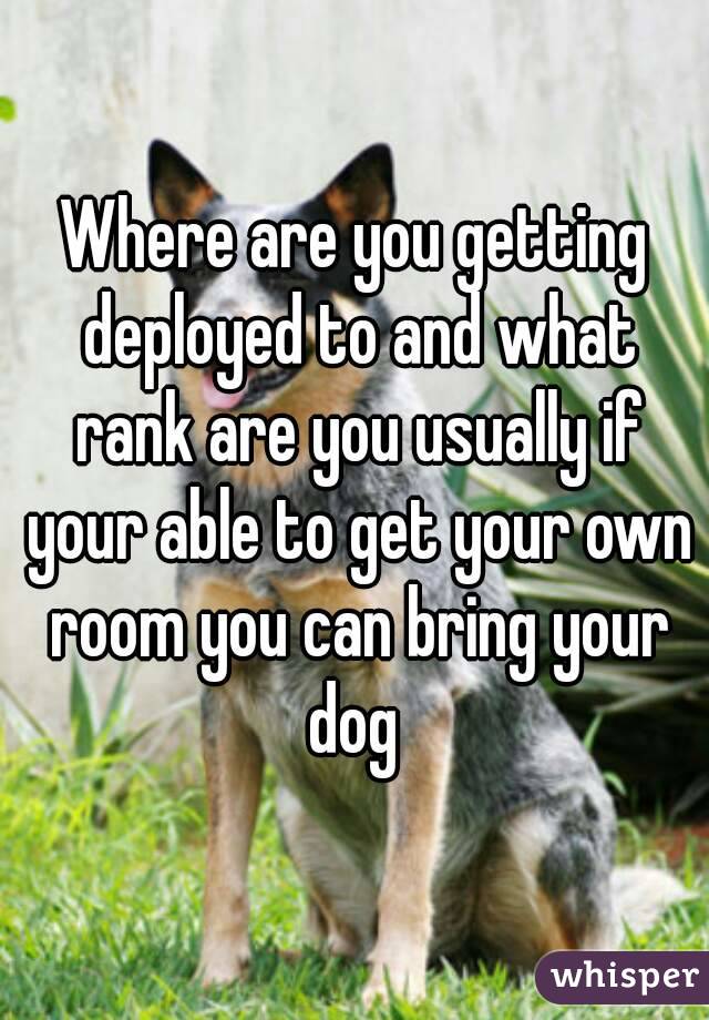 Where are you getting deployed to and what rank are you usually if your able to get your own room you can bring your dog 