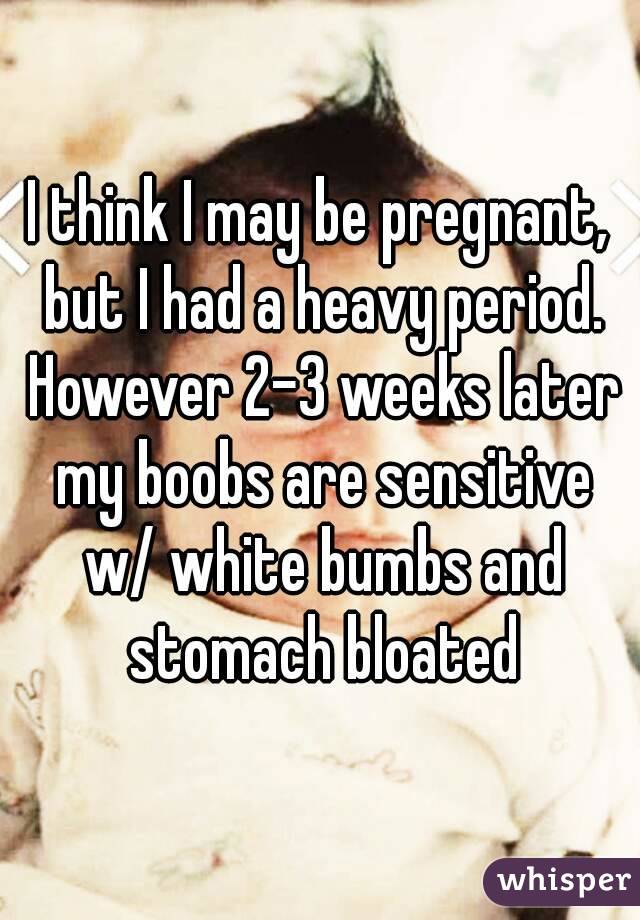 I think I may be pregnant, but I had a heavy period. However 2-3 weeks later my boobs are sensitive w/ white bumbs and stomach bloated