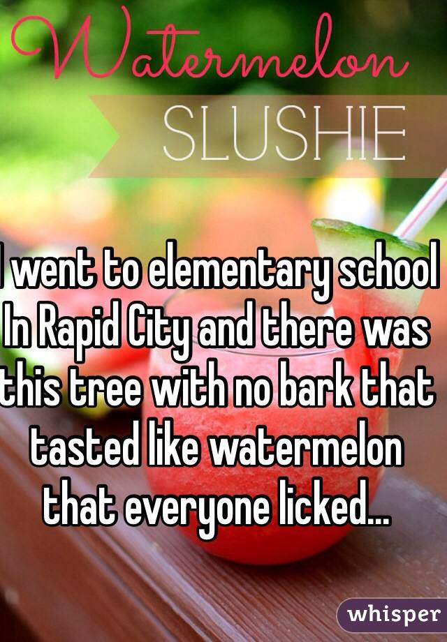 I went to elementary school In Rapid City and there was this tree with no bark that tasted like watermelon that everyone licked... 