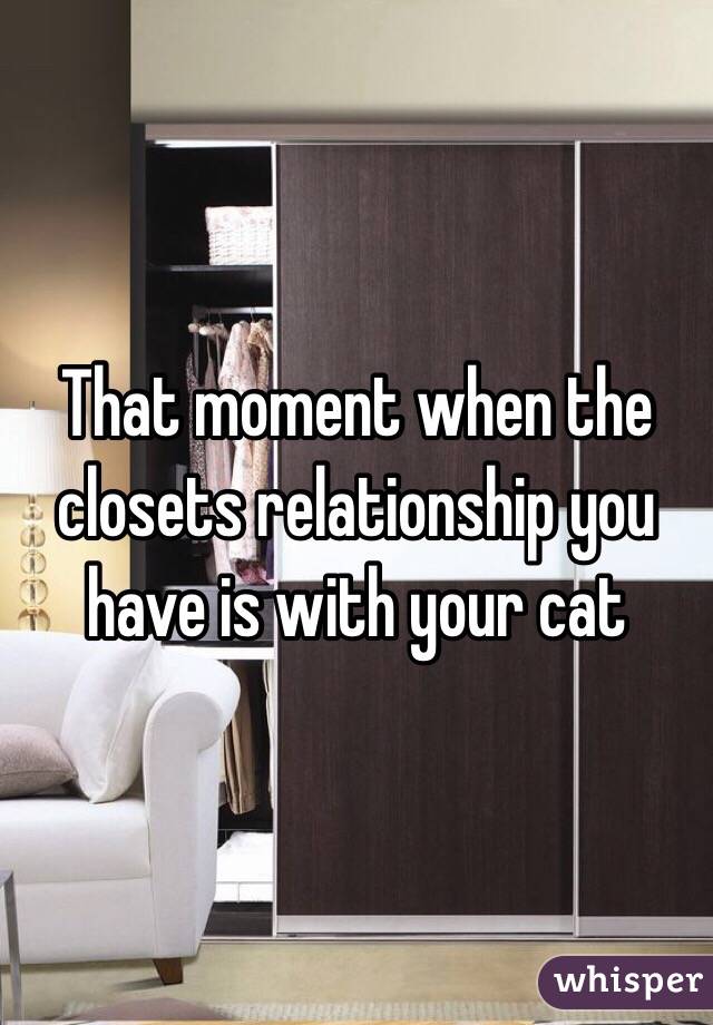 That moment when the closets relationship you have is with your cat