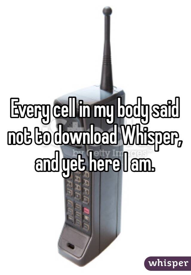 Every cell in my body said not to download Whisper, and yet here I am. 