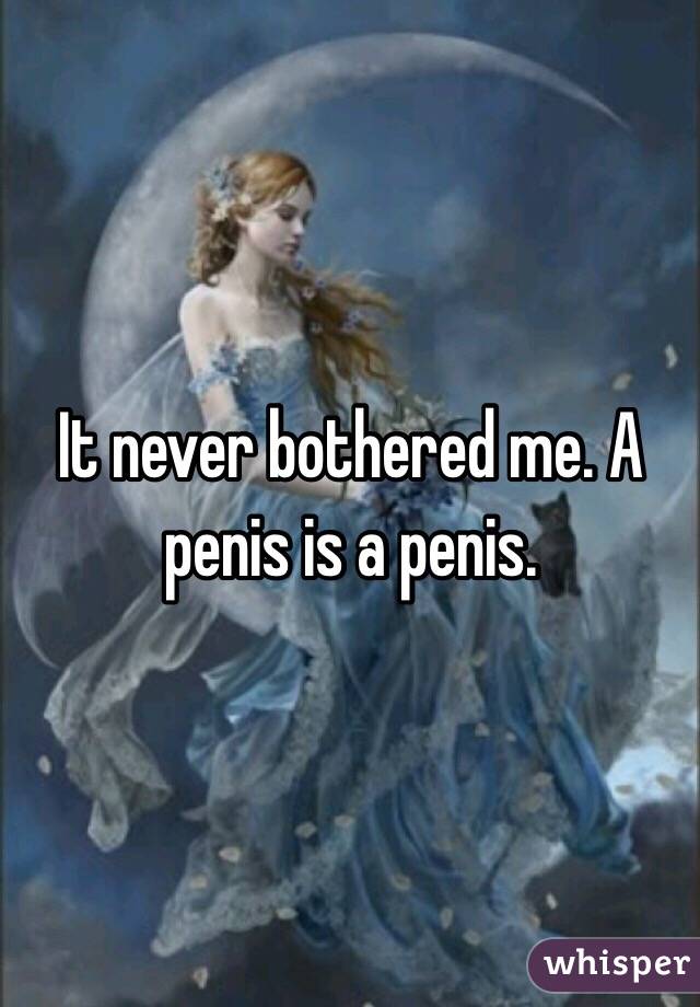 It never bothered me. A penis is a penis.