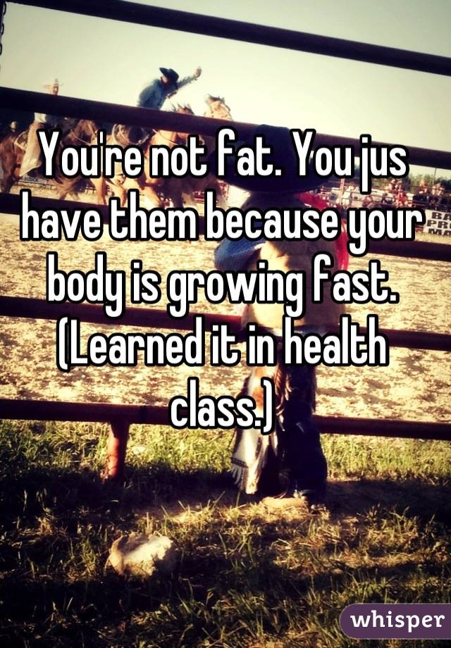 You're not fat. You jus have them because your body is growing fast. (Learned it in health class.)