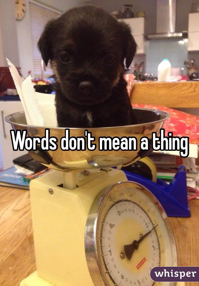 Words don't mean a thing