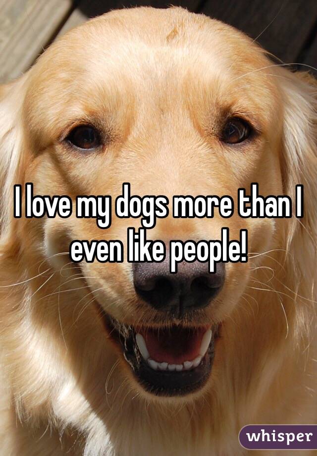 I love my dogs more than I even like people! 