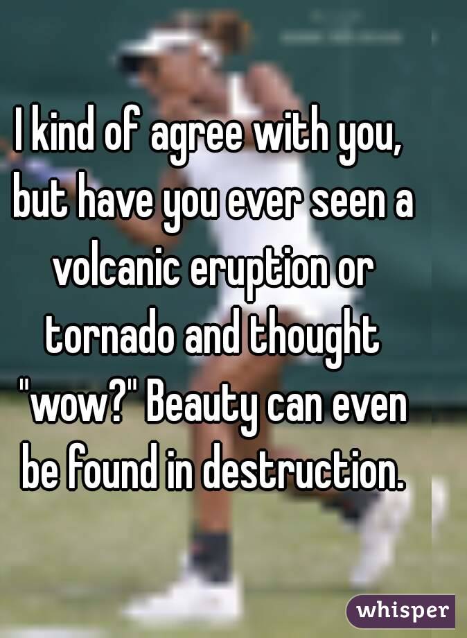 I kind of agree with you, but have you ever seen a volcanic eruption or tornado and thought "wow?" Beauty can even be found in destruction.