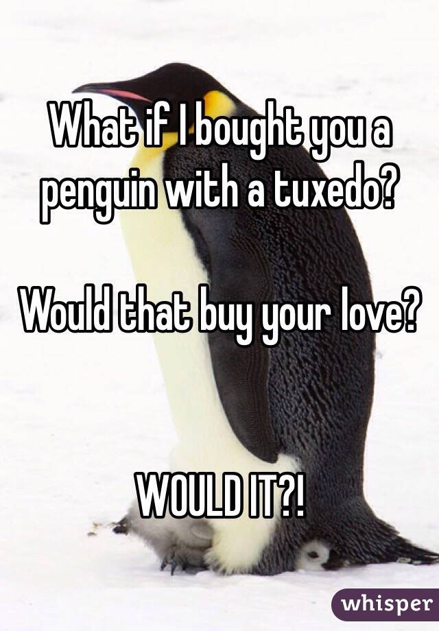 What if I bought you a penguin with a tuxedo?

Would that buy your love? 


WOULD IT?!