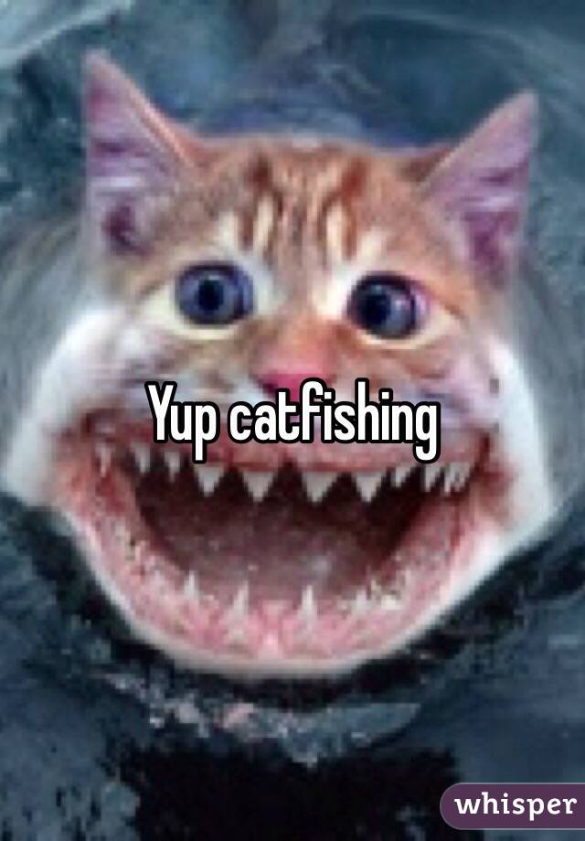 Yup catfishing 