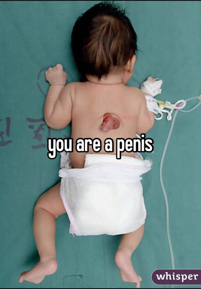 you are a penis