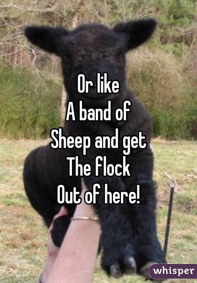 Or like 
A band of
Sheep and get
The flock 
Out of here!
