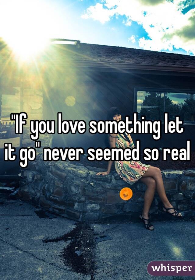 "If you love something let it go" never seemed so real