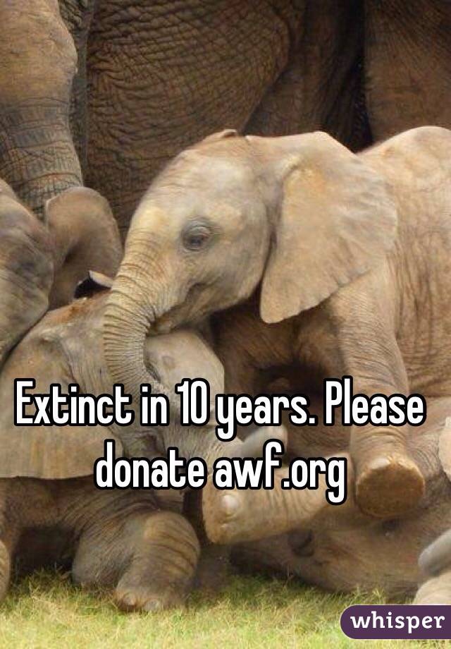 Extinct in 10 years. Please donate awf.org