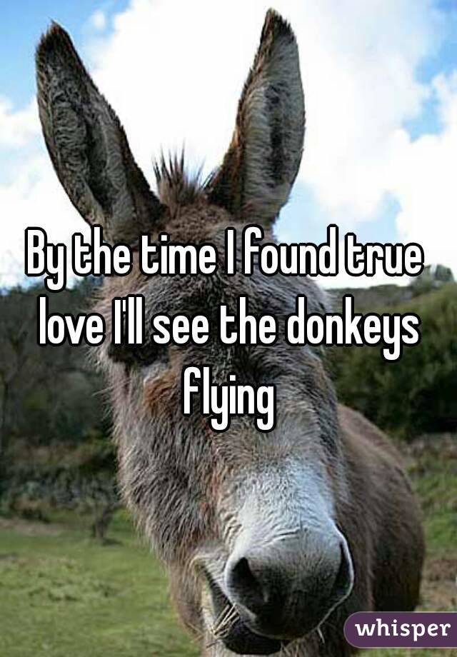 By the time I found true love I'll see the donkeys flying