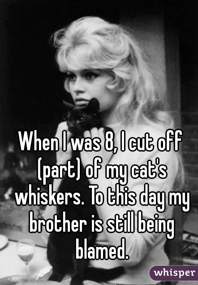 When I was 8, I cut off (part) of my cat's whiskers. To this day my brother is still being blamed.