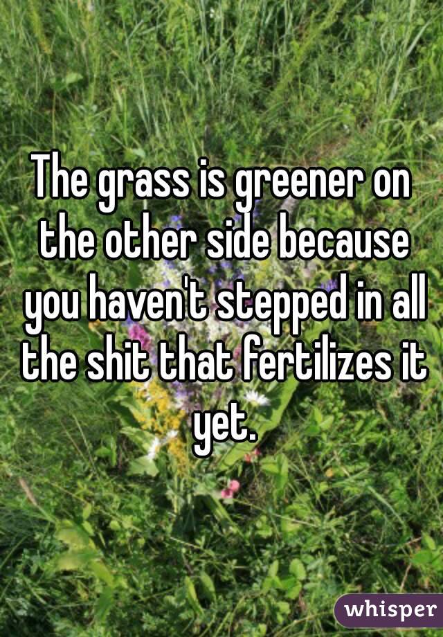 The grass is greener on the other side because you haven't stepped in all the shit that fertilizes it yet.