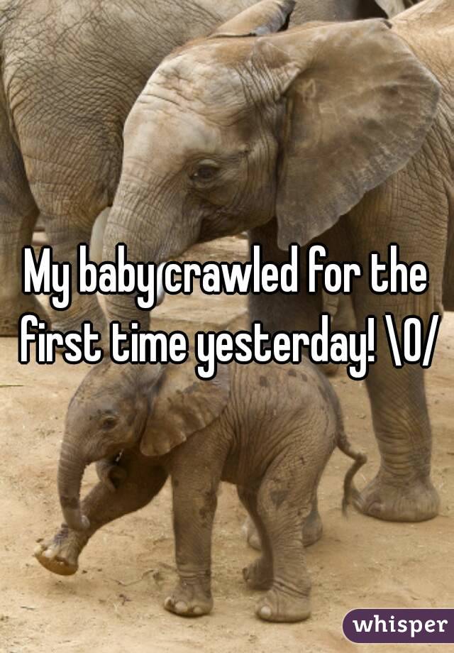 My baby crawled for the first time yesterday! \O/