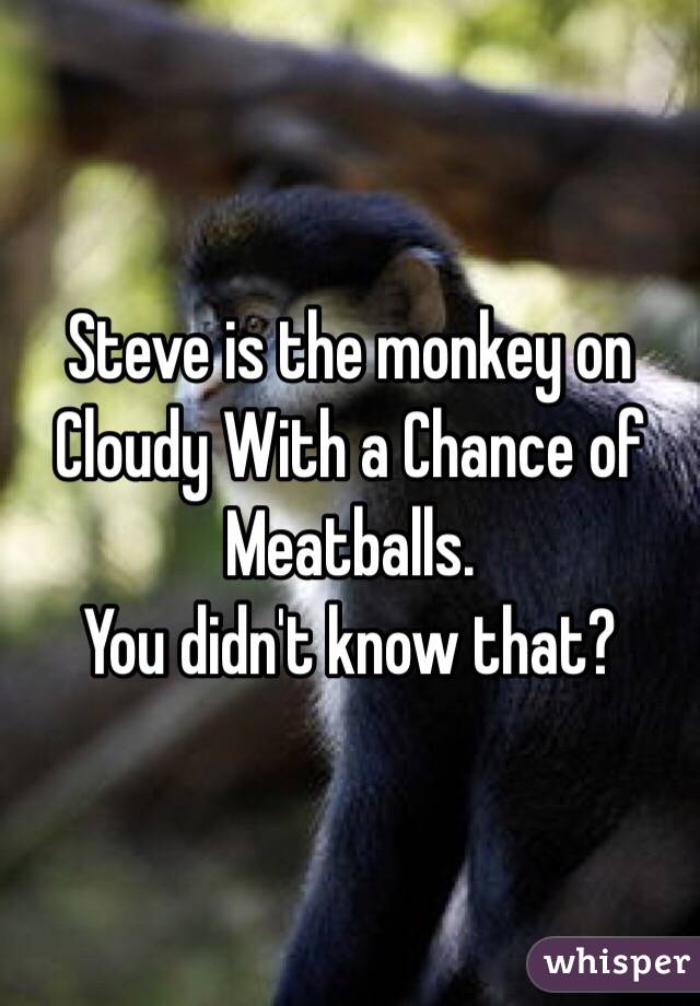 Steve is the monkey on Cloudy With a Chance of Meatballs. 
You didn't know that?