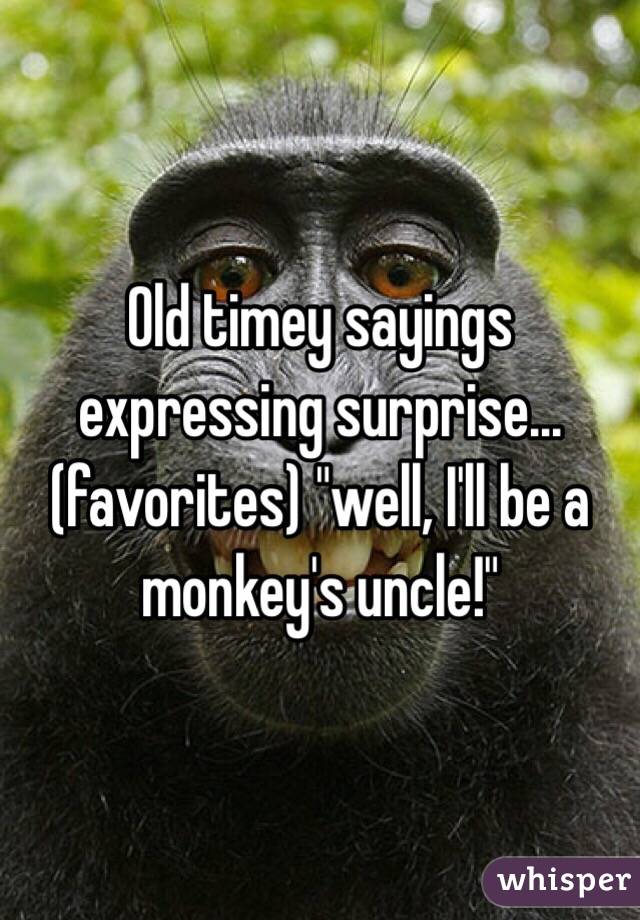 Old timey sayings expressing surprise...(favorites) "well, I'll be a monkey's uncle!"