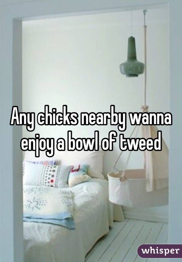 Any chicks nearby wanna enjoy a bowl of tweed 