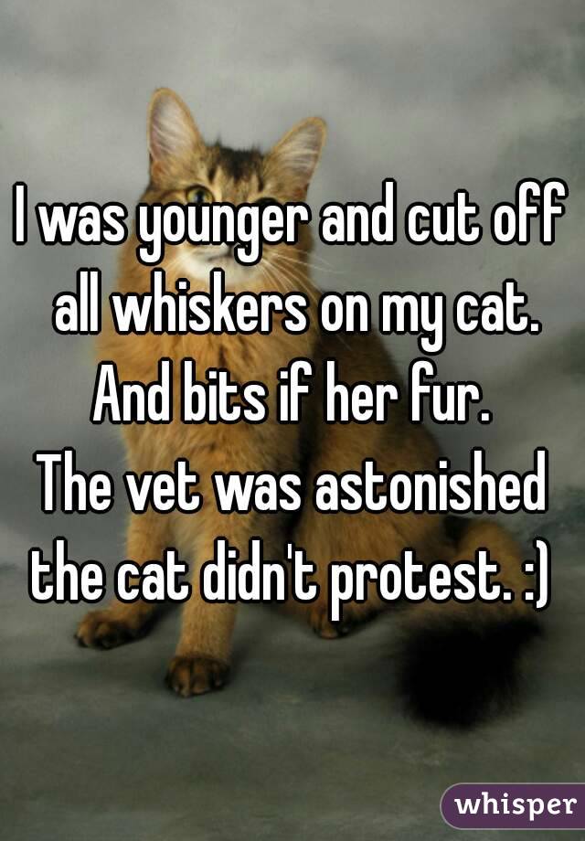 I was younger and cut off all whiskers on my cat. And bits if her fur. 
The vet was astonished the cat didn't protest. :) 