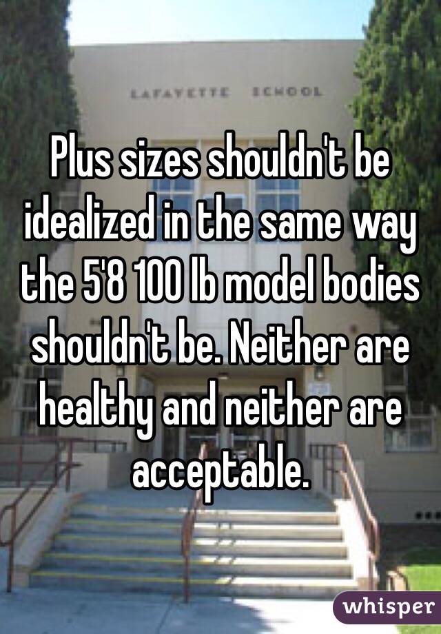Plus sizes shouldn't be idealized in the same way the 5'8 100 lb model bodies shouldn't be. Neither are healthy and neither are acceptable. 