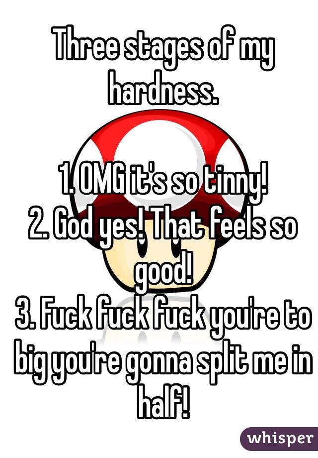 Three stages of my hardness. 

1. OMG it's so tinny! 
2. God yes! That feels so good!
3. Fuck fuck fuck you're to big you're gonna split me in half! 