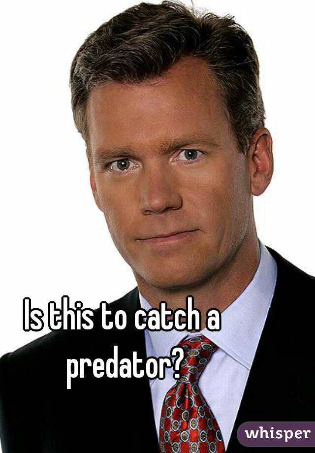 Is this to catch a predator?