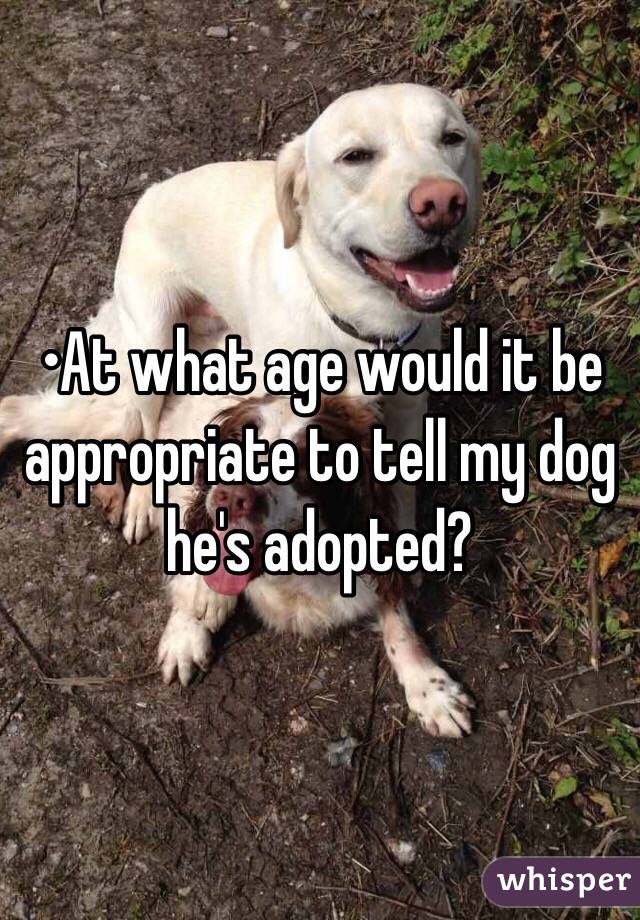 •At what age would it be appropriate to tell my dog he's adopted?