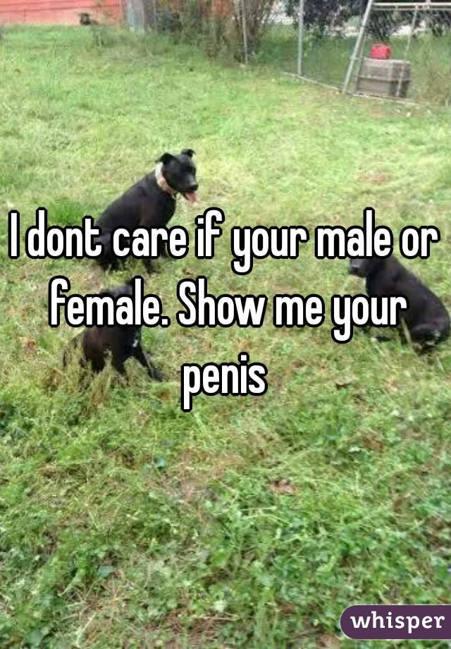 I dont care if your male or female. Show me your penis 