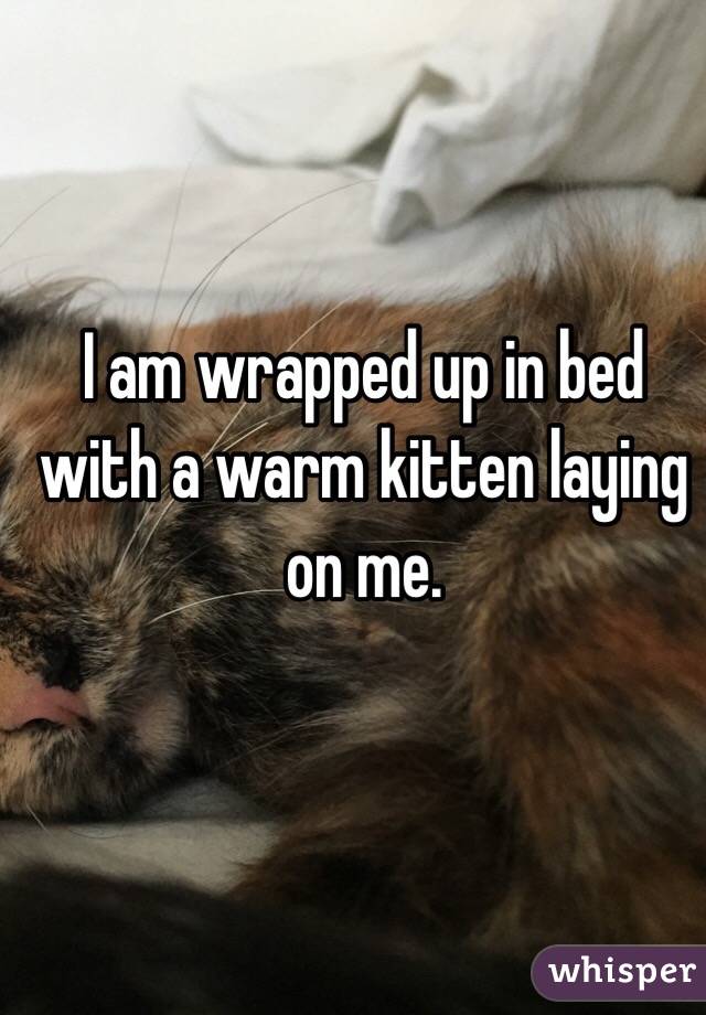 I am wrapped up in bed with a warm kitten laying on me. 
