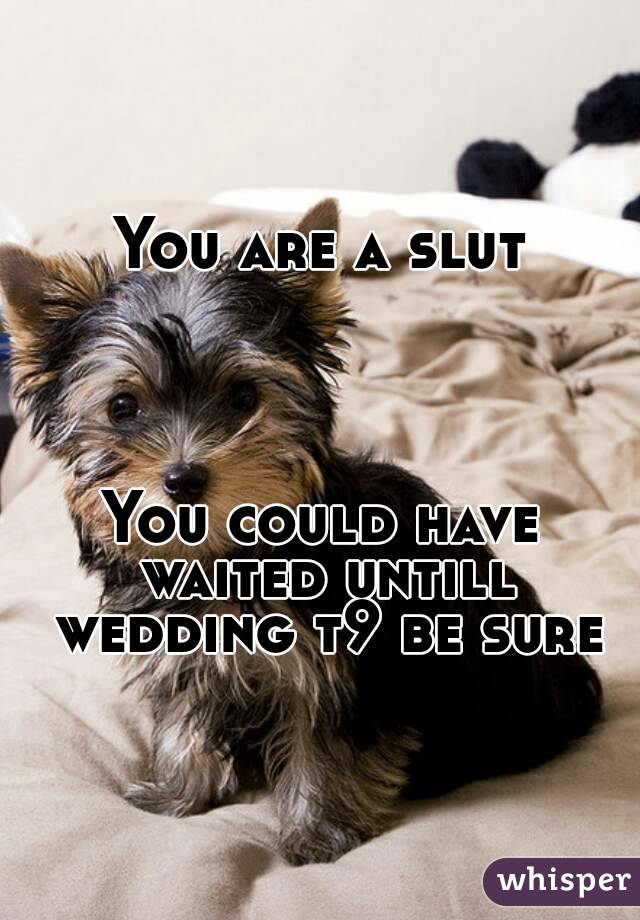 You are a slut




You could have waited untill wedding t9 be sure