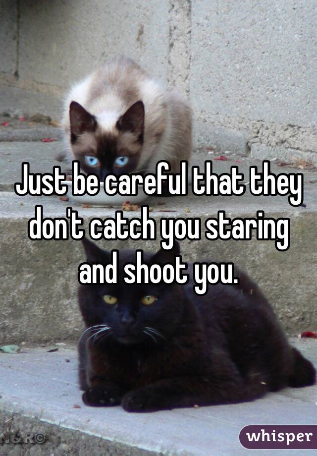 Just be careful that they don't catch you staring and shoot you.