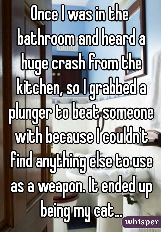 Once I was in the bathroom and heard a huge crash from the kitchen, so I grabbed a plunger to beat someone with because I couldn't find anything else to use as a weapon. It ended up being my cat...