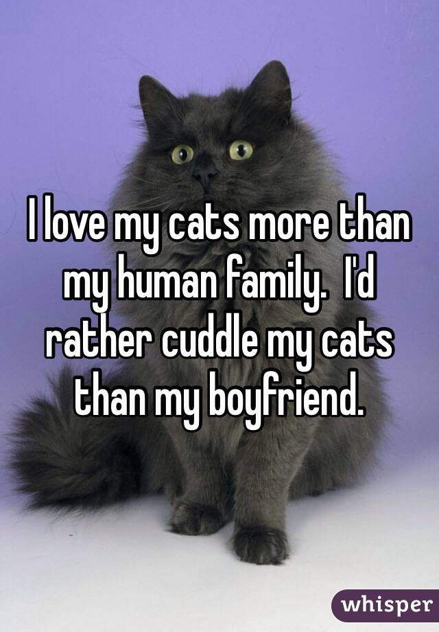 I love my cats more than my human family.  I'd rather cuddle my cats than my boyfriend. 